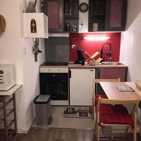 Studio Saint Lary Au Pla D'Adet المظهر الخارجي الصورة